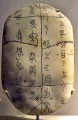 Oracle Bones of Ancient ChinaOracle Bone Script 
